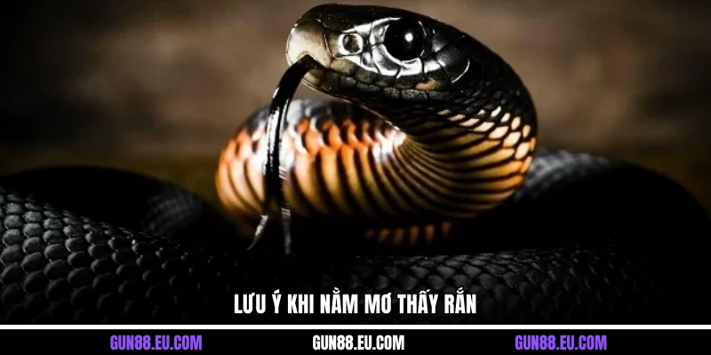 Lưu ý khi nằm mơ thấy rắn 